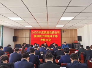 31399金沙娱场城 召开2020年度向导班子和向导干部审核大会