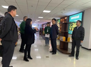 州农投集团在水发农投通道物流公司、河州实力公司调研